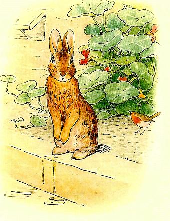 Сказки Беатрис Поттер. Сказка про Питера-кролика