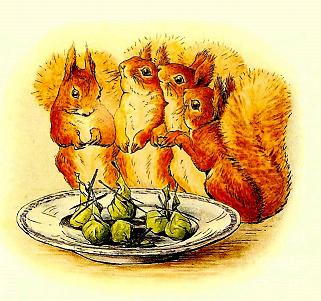 Beatrix Potter Squirrel Nutkin