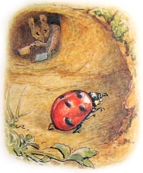 the tale of mrs tittlemouse Сказки Беатрис Поттер Повесть о миссис Мыштон