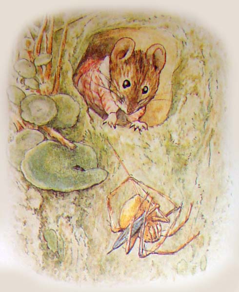 the tale of mrs tittlemouse Сказки Беатрис Поттер Повесть о миссис Мыштон