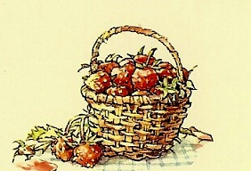 Ежевичная поляна. Летняя история 10