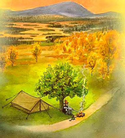 детские книги, Свен Нурдквист, Петсон и Финдус, Петсон в походе