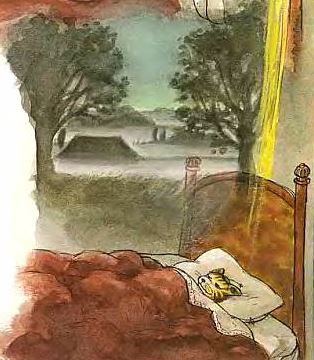 детские книги, Свен Нурдквист, Петсон и Финдус