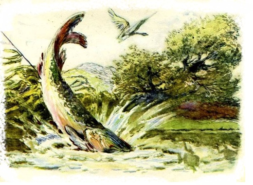 беляночка и розочка, рисунки таубер, беляночка и розочка смотреть беляночка и розочка, рисунки таубер, беляночка и розочка смотреть