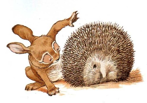 про Ежика и Кролика, сказки онлайн бесплатно, иллюстрации к сказкам, скачать иллюстрации, детские книги, пол стюарт,крисс ридделл про Ежика и Кролика, сказки онлайн бесплатно, иллюстрации к сказкам, скачать иллюстрации, детские книги, пол стюарт,крисс ридделл