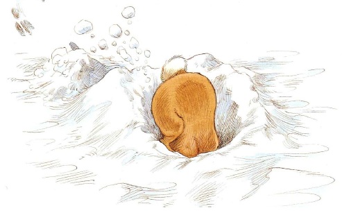 про Ежика и Кролика, сказки онлайн бесплатно, иллюстрации к сказкам, скачать иллюстрации, детские книги, пол стюарт,крисс ридделл про Ежика и Кролика, сказки онлайн бесплатно, иллюстрации к сказкам, скачать иллюстрации, детские книги, пол стюарт,крисс ридделл