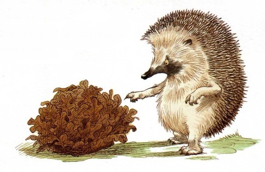 про Ежика и Кролика, сказки онлайн бесплатно, иллюстрации к сказкам, скачать иллюстрации, детские книги, пол стюарт,крисс ридделл про Ежика и Кролика, сказки онлайн бесплатно, иллюстрации к сказкам, скачать иллюстрации, детские книги, пол стюарт,крисс ридделл