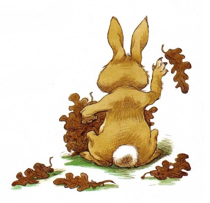 про Ежика и Кролика, сказки онлайн бесплатно, иллюстрации к сказкам, скачать иллюстрации, детские книги, пол стюарт,крисс ридделл про Ежика и Кролика, сказки онлайн бесплатно, иллюстрации к сказкам, скачать иллюстрации, детские книги, пол стюарт,крисс ридделл