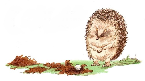 про Ежика и Кролика, сказки онлайн бесплатно, иллюстрации к сказкам, скачать иллюстрации, детские книги, пол стюарт,крисс ридделл про Ежика и Кролика, сказки онлайн бесплатно, иллюстрации к сказкам, скачать иллюстрации, детские книги, пол стюарт,крисс ридделл