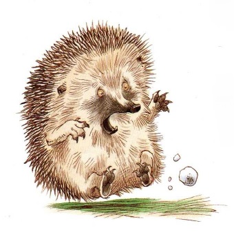 про Ежика и Кролика, сказки онлайн бесплатно, иллюстрации к сказкам, скачать иллюстрации, детские книги, пол стюарт,крисс ридделл про Ежика и Кролика, сказки онлайн бесплатно, иллюстрации к сказкам, скачать иллюстрации, детские книги, пол стюарт,крисс ридделл