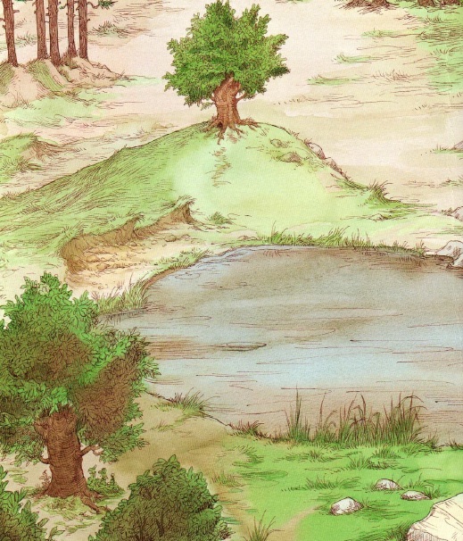 про Ежика и Кролика, сказки онлайн бесплатно, иллюстрации к сказкам, скачать иллюстрации, детские книги, пол стюарт,крисс ридделл про Ежика и Кролика, сказки онлайн бесплатно, иллюстрации к сказкам, скачать иллюстрации, детские книги, пол стюарт,крисс ридделл