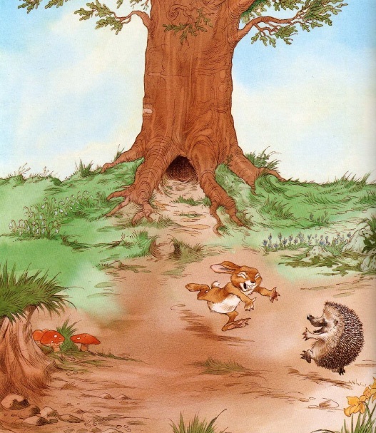 про Ежика и Кролика, сказки онлайн бесплатно, иллюстрации к сказкам, скачать иллюстрации, детские книги, пол стюарт,крисс ридделл про Ежика и Кролика, сказки онлайн бесплатно, иллюстрации к сказкам, скачать иллюстрации, детские книги, пол стюарт,крисс ридделл