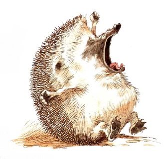 про Ежика и Кролика, сказки онлайн бесплатно, иллюстрации к сказкам, скачать иллюстрации, детские книги, пол стюарт,крисс ридделл про Ежика и Кролика, сказки онлайн бесплатно, иллюстрации к сказкам, скачать иллюстрации, детские книги, пол стюарт,крисс ридделл