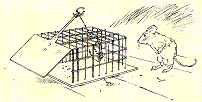 1 В стране гномов Эрих Хайнеманн детские книги.png