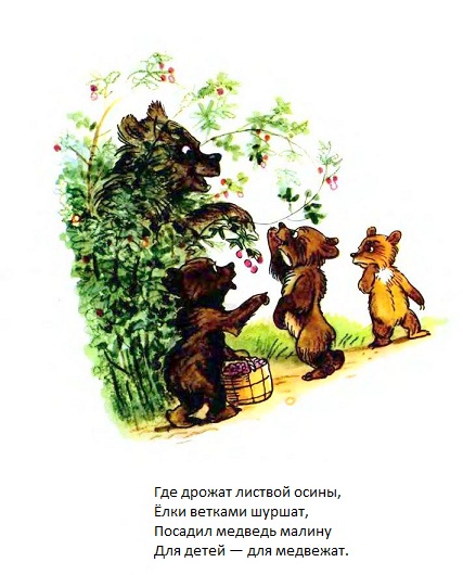 Михайло Стельмах. Чем помочь медведю?