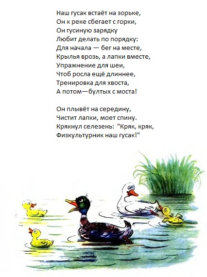 Михайло Стельмах.Гусак-Физкультурник Картинки Сутеева