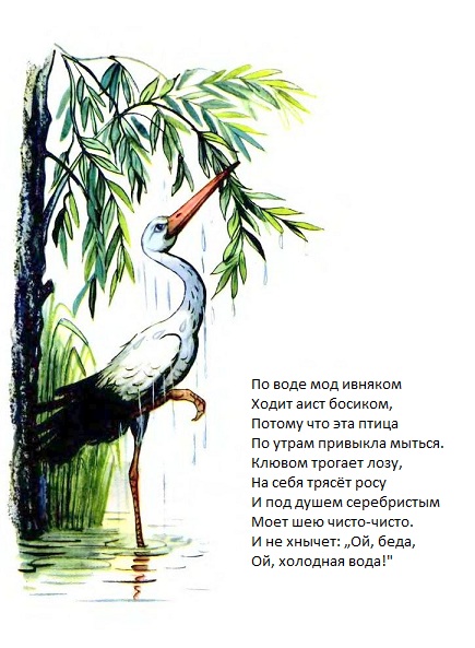 Михайло Стельмах. Аист моется. Детские стихи