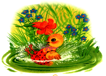 7 Корней Чуковский. Цыпленок. Сказки малышам.png