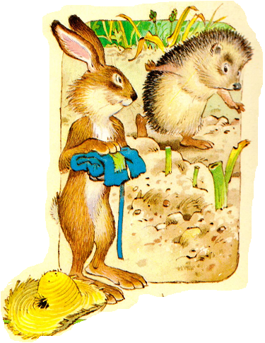 сказки о животных, ежик и заяц, иллюстрации к сказкам
